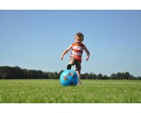 graszaad gazon per 100 gram (1 ons)