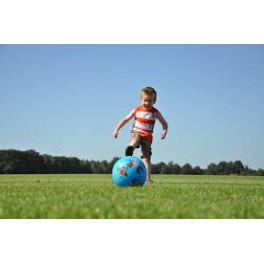 graszaad gazon per 100 gram (1 ons)