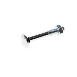 Slotbout + Moer Din 603/555 M12x 220mm