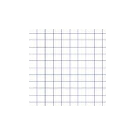 Ruitjesblokje Smead 5x5mm 7,5 x 11 cm 60 vel College