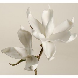 Magnolia van Foam 20 cm 2 stuks  Wit