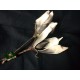 Magnolia van Foam 20 cm 2 stuks  Wit