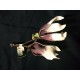Magnolia van Foam 20 cm 2 stuks  Wit