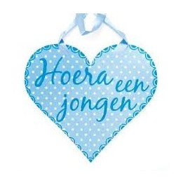 Hoera een Jongen : Deurschild met Lint