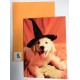 Halloween wenskaarten dubbel + enveloppe
