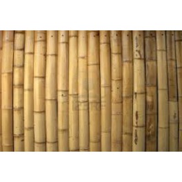 Bamboestokjes 100 stuks 25.5 cm lang