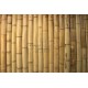 Bamboestokjes 100 stuks 25.5 cm lang