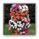 Flower Tower (hangende bloemen toren)
