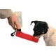 Honden drinkfles mix color