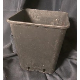 Kweekpot  Kunststof 20x20x23cm Zwart