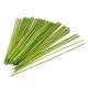 Geïmpregneerde plantenstokken, 90 cm, groen (per 100 stuks)