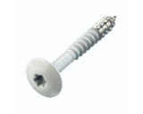 Trespaschroef 25mm  en 38mm Lengte