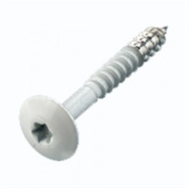 Trespaschroef 25mm  en 38mm Lengte